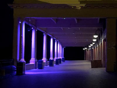 Purple Lights Holocaust Memorial Day